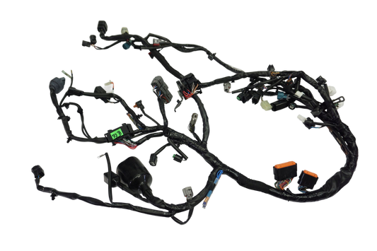 KAWASAKI NINJA 650 17-19 Kabelbaum Wiring Harness 1
