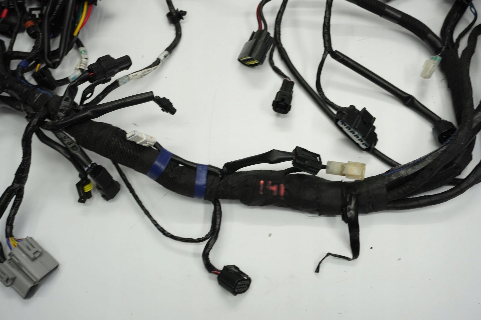 TRIUMPH TRIDENT 660 21- Kabelbaum Wiring Harness 2