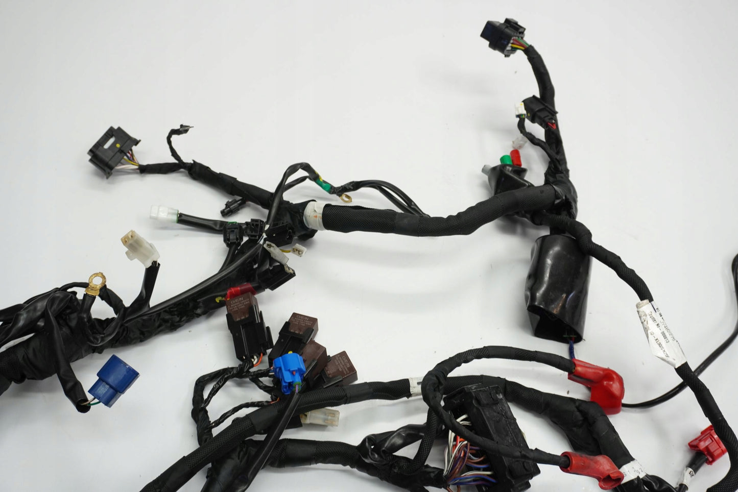 KTM RC 125 24- Kabelbaum Wiring Harness 2