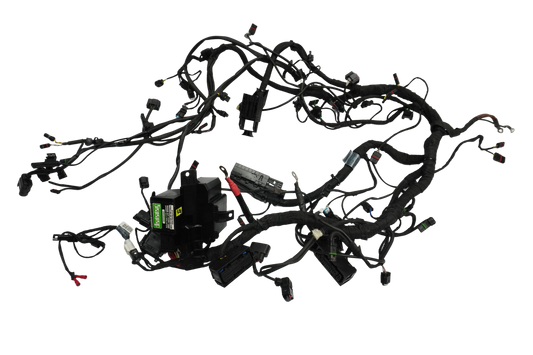 BMW S 1000 R 17-20 Kabelbaum Wiring Harness 1