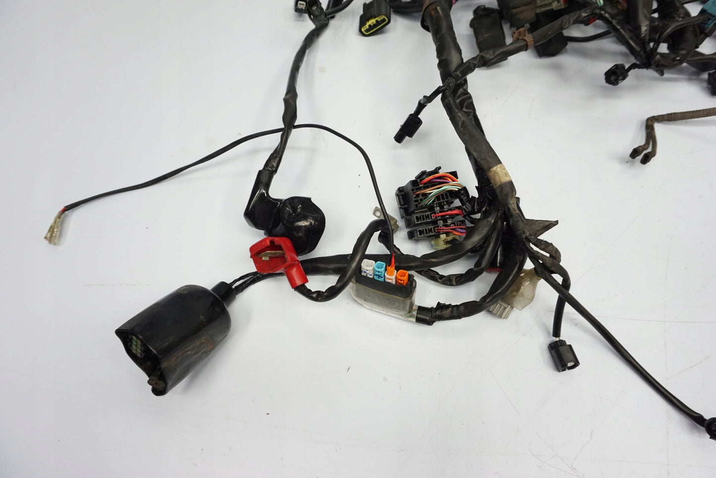 HONDA CBR 650 R 19-23 Kabelbaum Wiring Harness 5