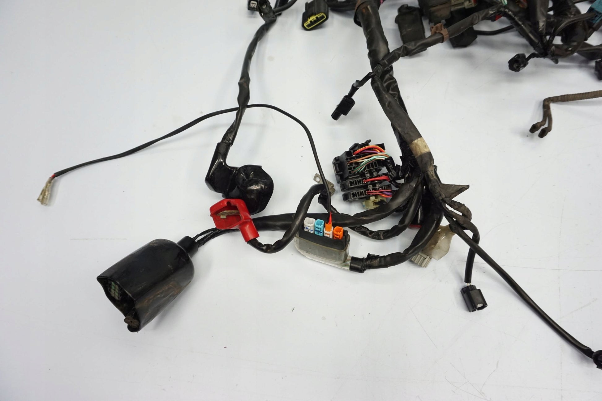 HONDA CBR 650 R 19-23 Kabelbaum Wiring Harness 5