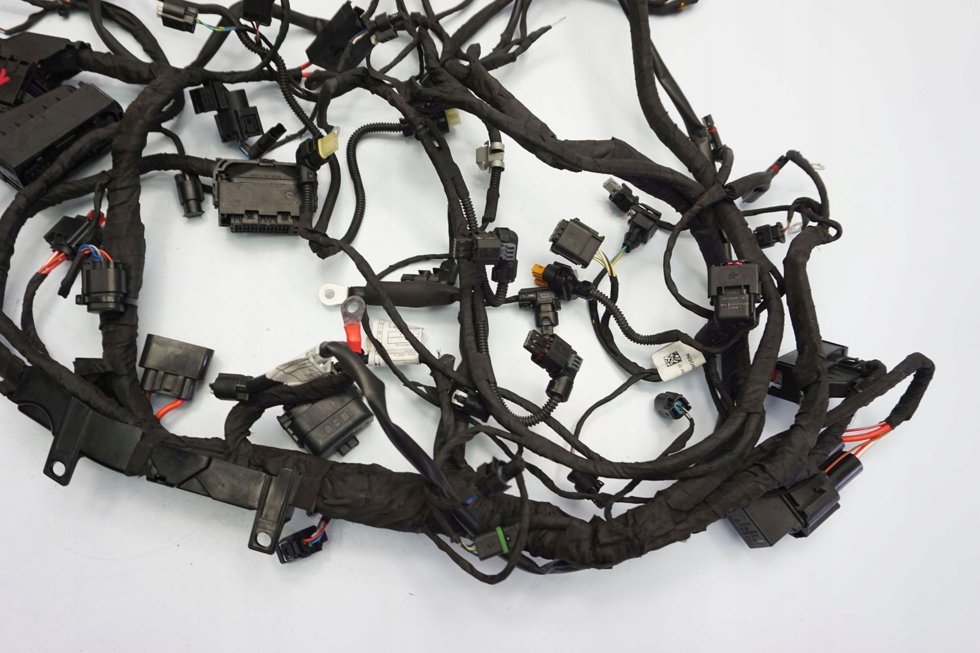 BMW F 900 R 20- Kabelbaum Wiring Harness 14