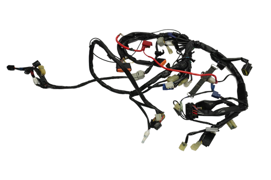 YAMAHA FZ1 1000 S FAZER RN16 06-15 Kabelbaum Wiring Harness 1