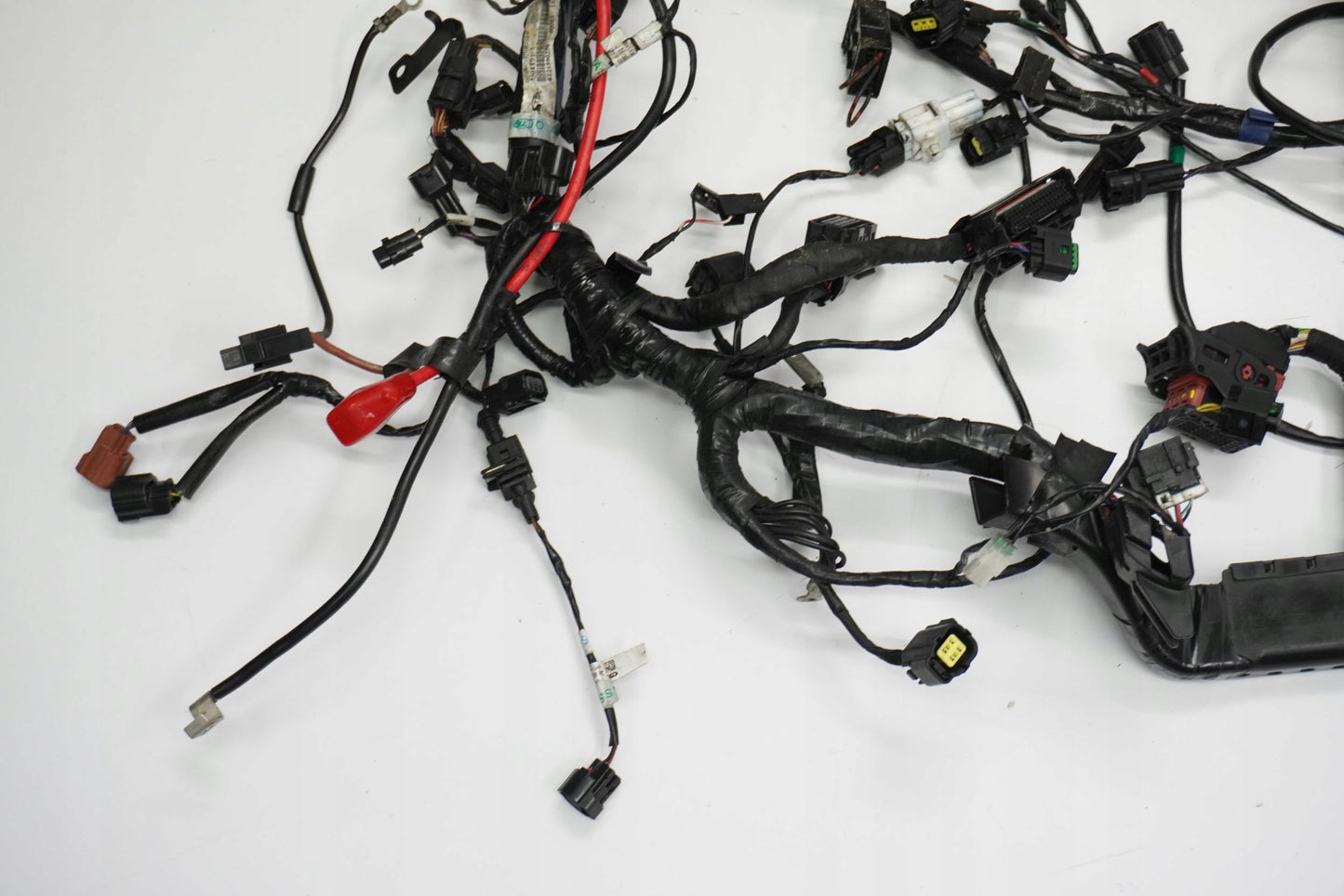 TRIUMPH TIGER 1200 XRT 16-17 Kabelbaum Wiring Harness 5