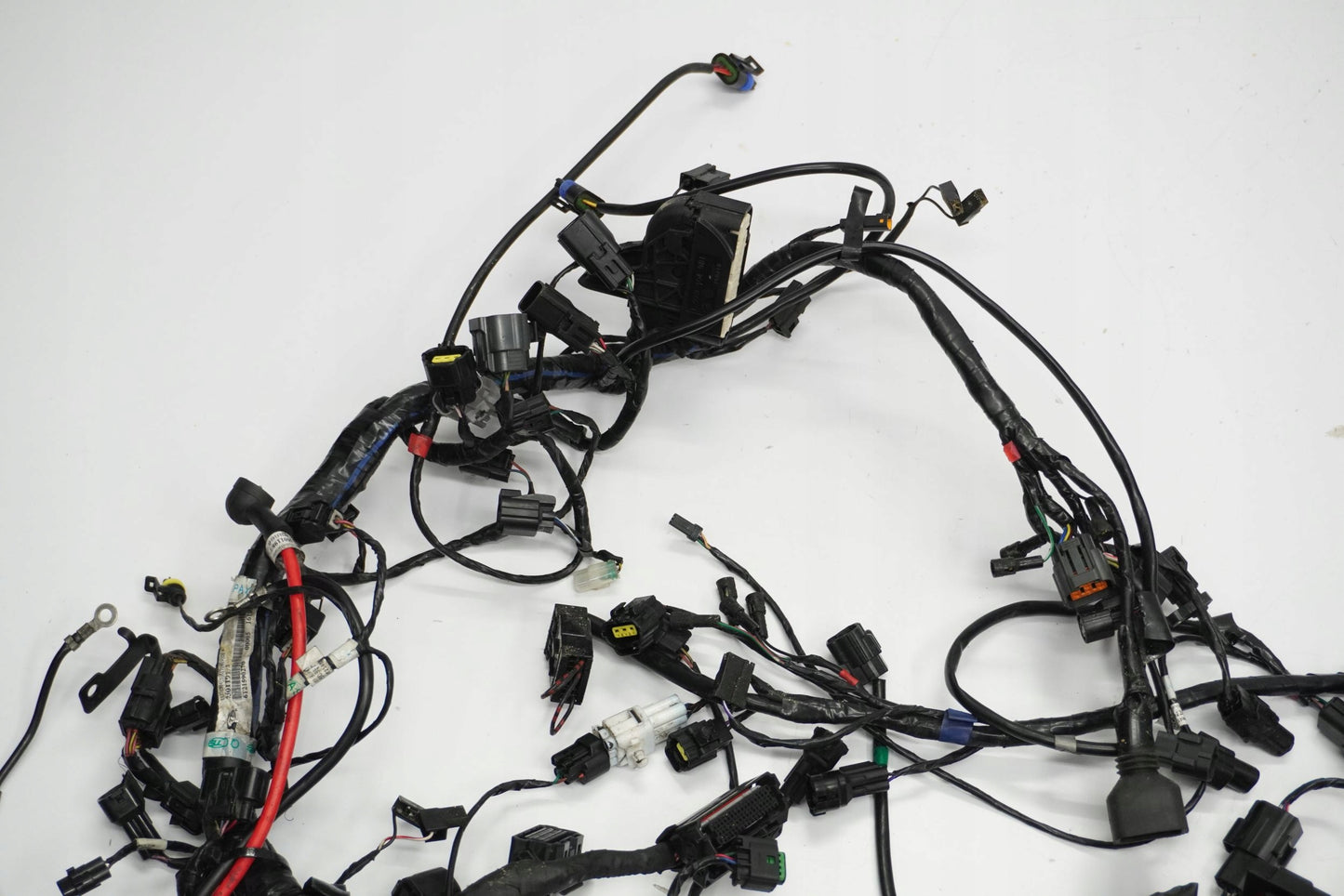 TRIUMPH TIGER 1200 XRT 16-17 Kabelbaum Wiring Harness 10
