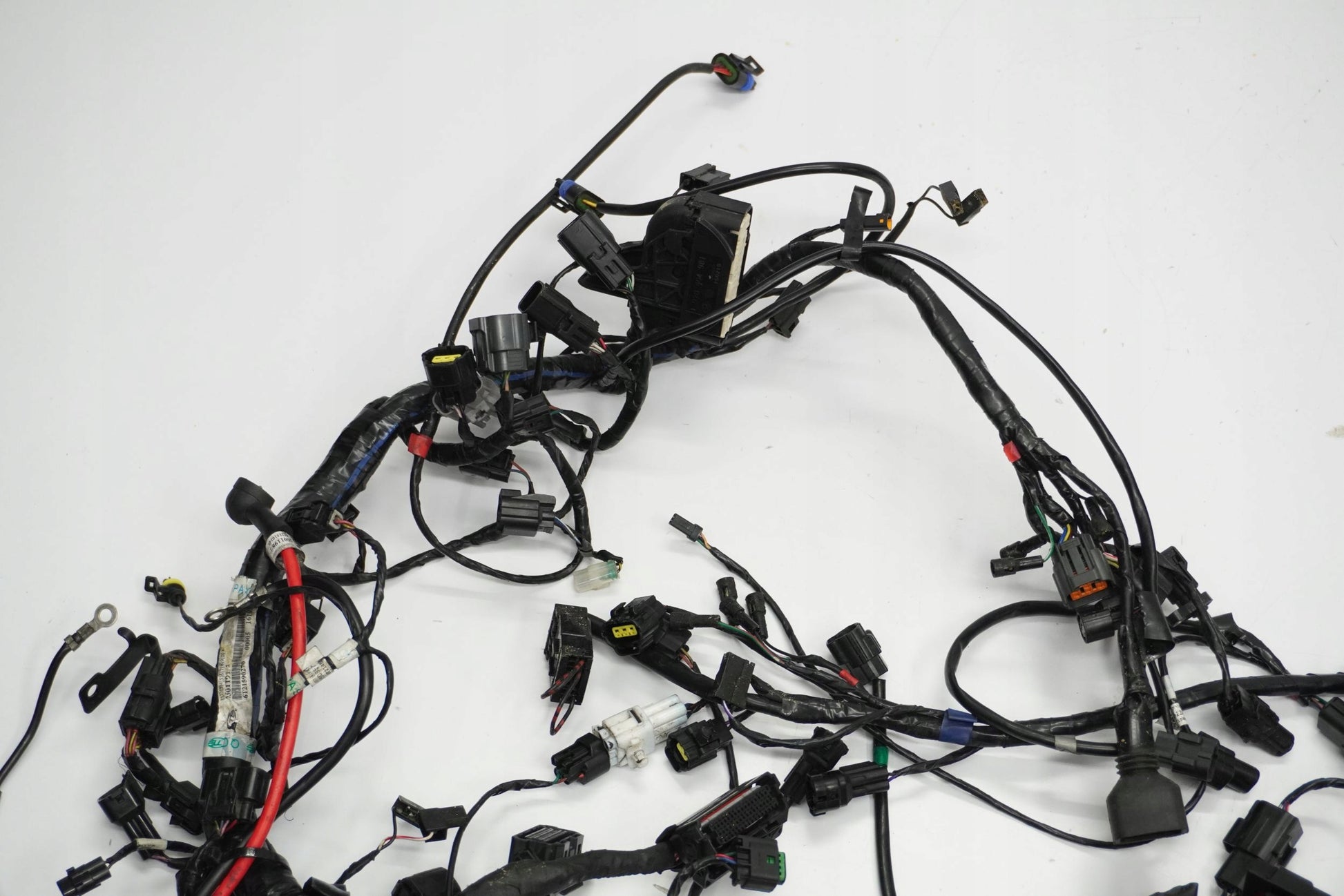 TRIUMPH TIGER 1200 XRT 16-17 Kabelbaum Wiring Harness 10