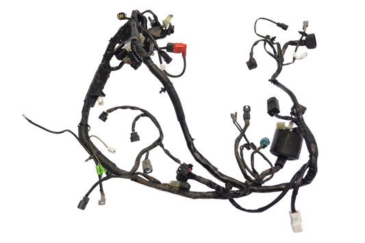 KAWASAKI NINJA 125 19-23 Kabelbaum Wiring Harness 1