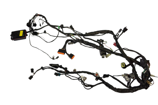 KAWASAKI ER-6F 650 05-08 Kabelbaum Wiring Harness 1