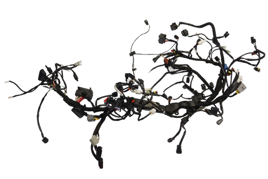 KTM 1290 SUPER DUKE R 20- Kabelbaum Wiring Harness 1