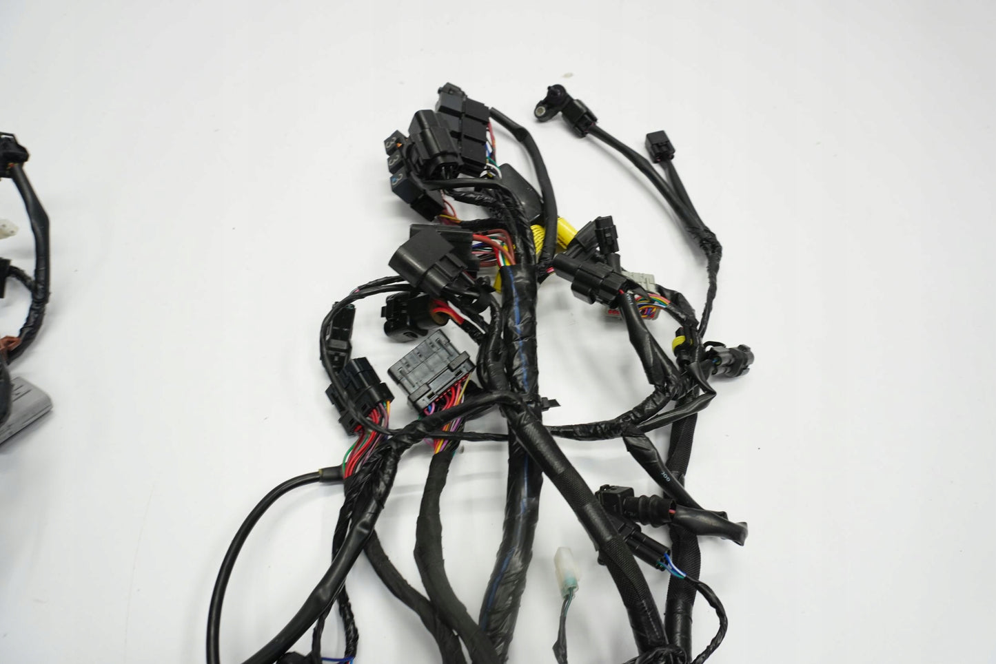 TRIUMPH TRIDENT 660 21- Kabelbaum Wiring Harness 8