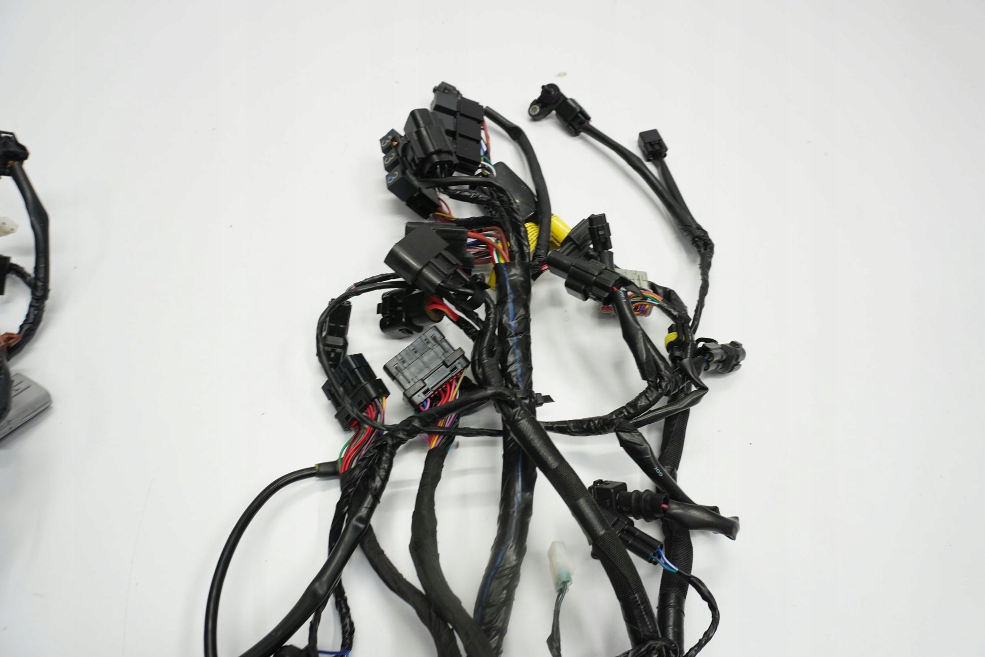 TRIUMPH TRIDENT 660 21- Kabelbaum Wiring Harness 8