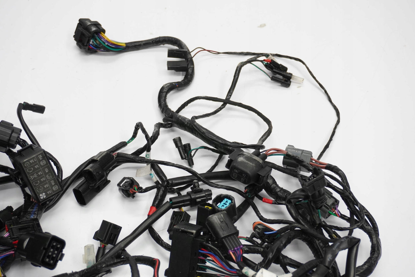 TRIUMPH TRIDENT 660 21- Kabelbaum Wiring Harness 7