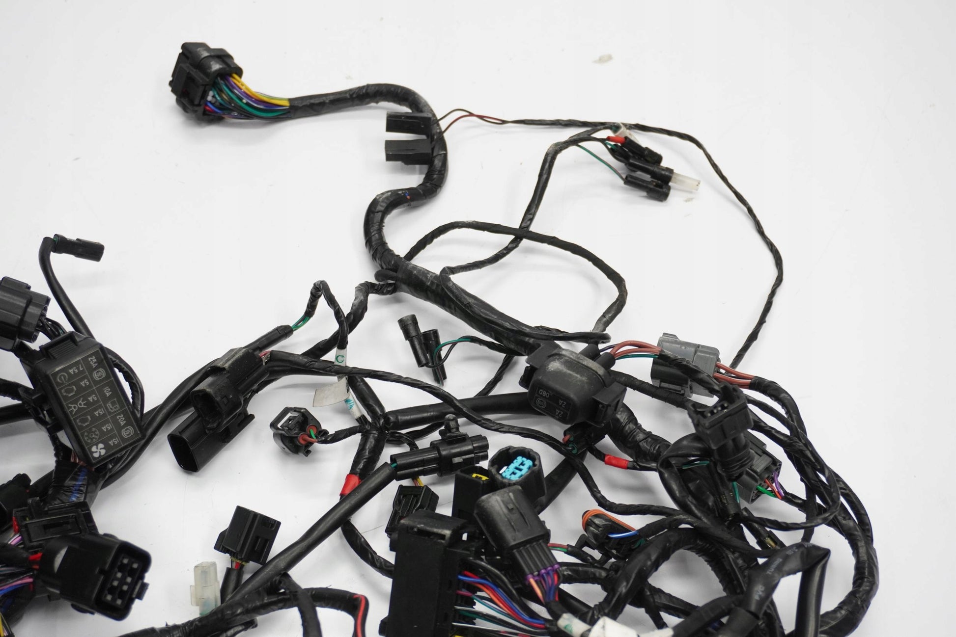 TRIUMPH TRIDENT 660 21- Kabelbaum Wiring Harness 7