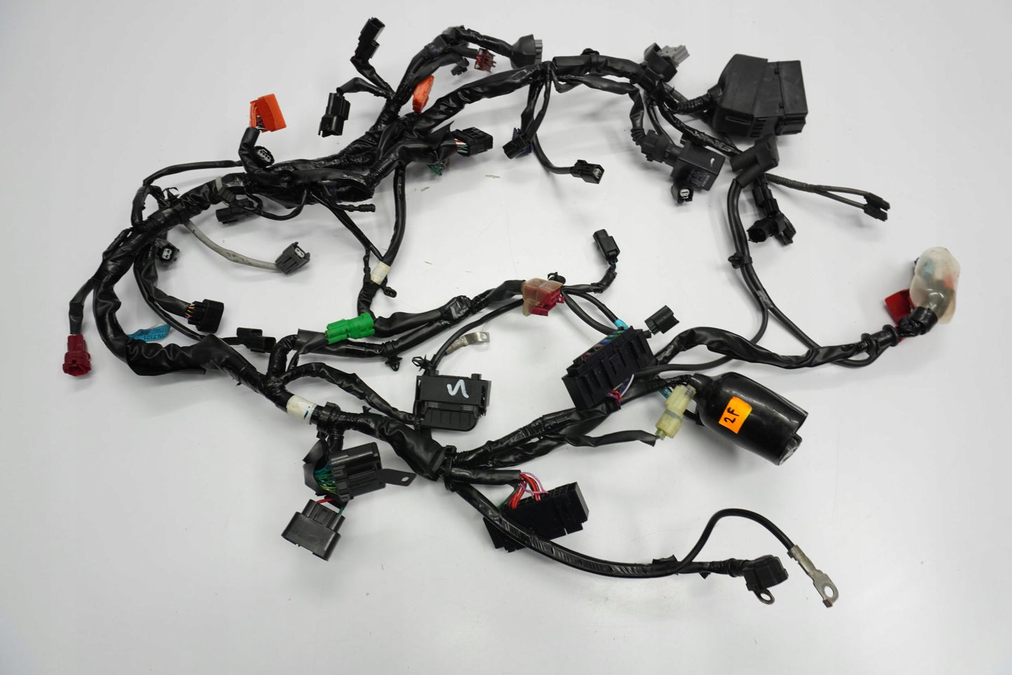 TRIUMPH STREET TRIPLE 765 17-19 Kabelbaum Wiring Harness 10