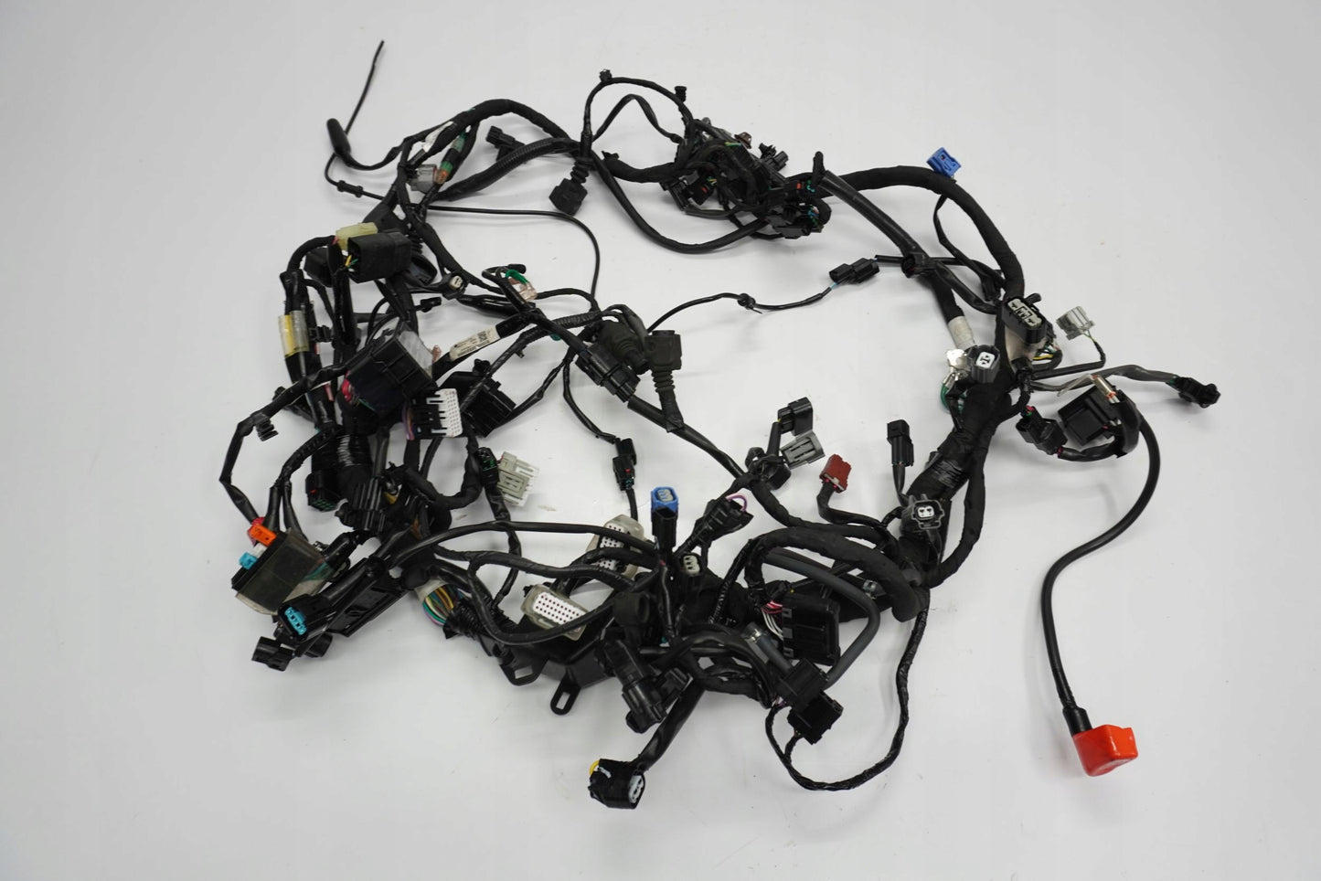 HONDA CRF 1100 L AFRICA TWIN 19- Kabelbaum Wiring Harness 14