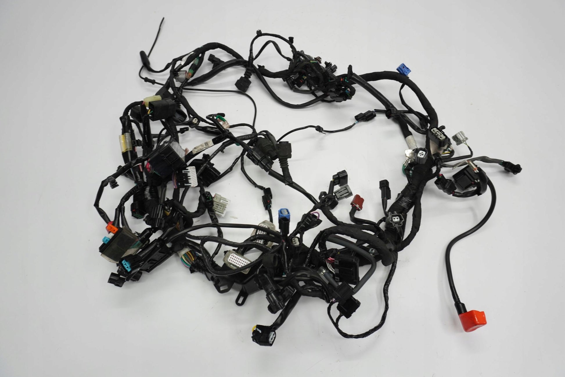 HONDA CRF 1100 L AFRICA TWIN 19- Kabelbaum Wiring Harness 14