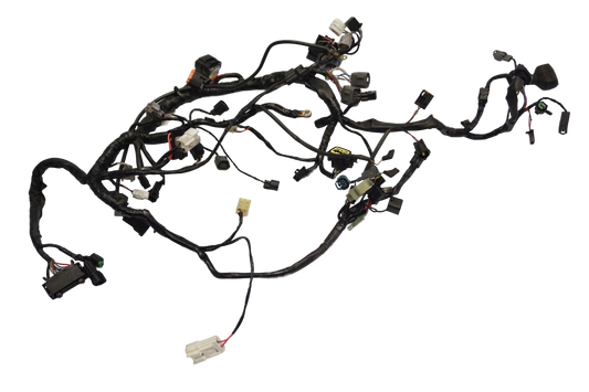 KAWASAKI 650 ER-6N 12-17 Kabelbaum Wiring Harness 1
