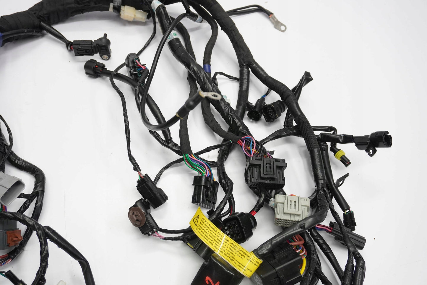 TRIUMPH TRIDENT 660 21- Kabelbaum Wiring Harness 6