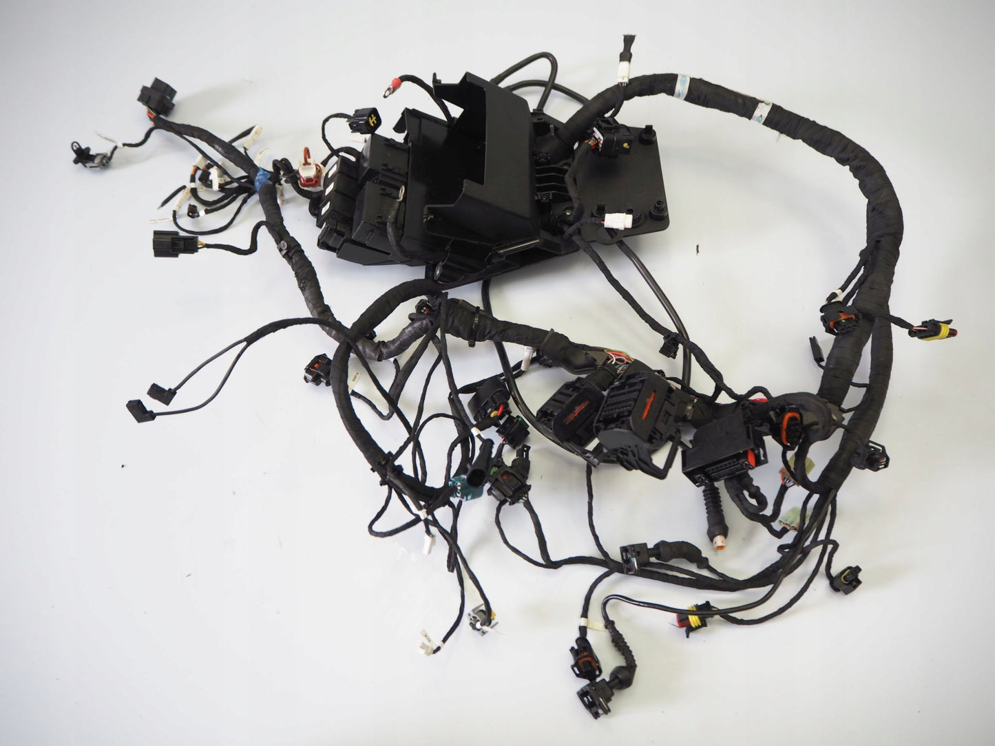 DUCATI MONSTER 937 21- Kabelbaum Wiring Harness 8