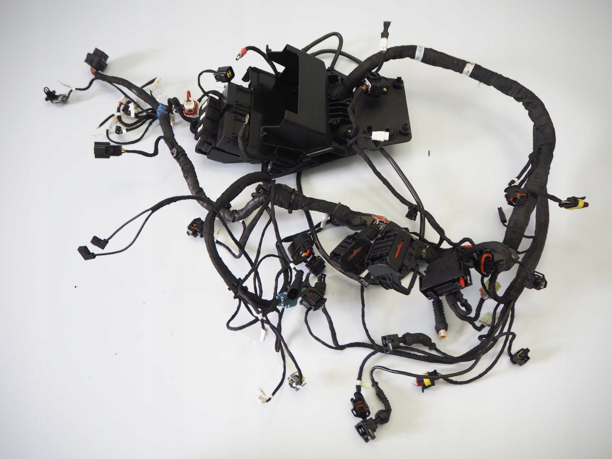 DUCATI MONSTER 937 21- Kabelbaum Wiring Harness 8