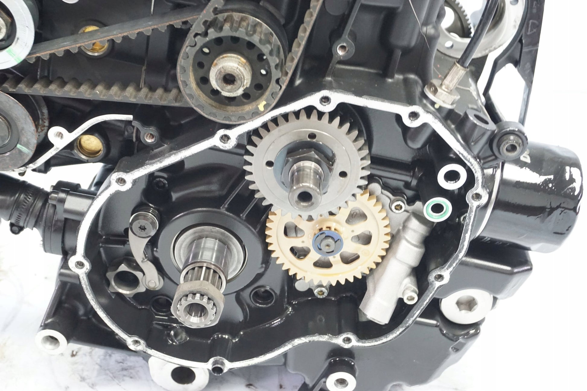 DUCATI MONSTER 821 18-20 Motor Motorblock Engine ZDM821W4O 6