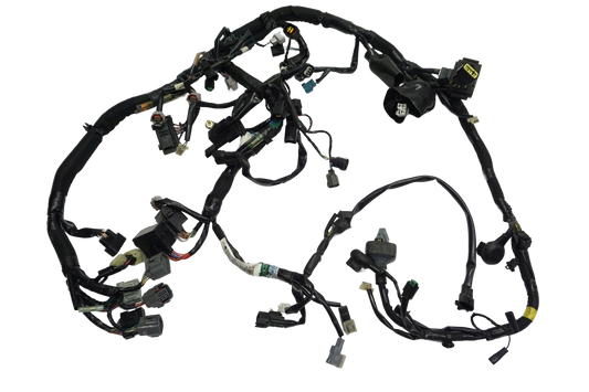 KAWASAKI Z 1000 SX 10-16 Kabelbaum Wiring Harness 1
