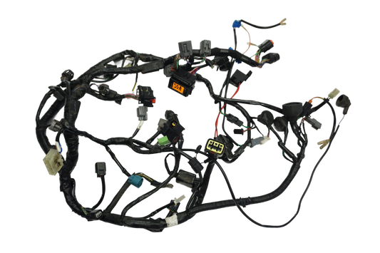 KAWASAKI Z-300 15-18 Kabelbaum Wiring Harness 1
