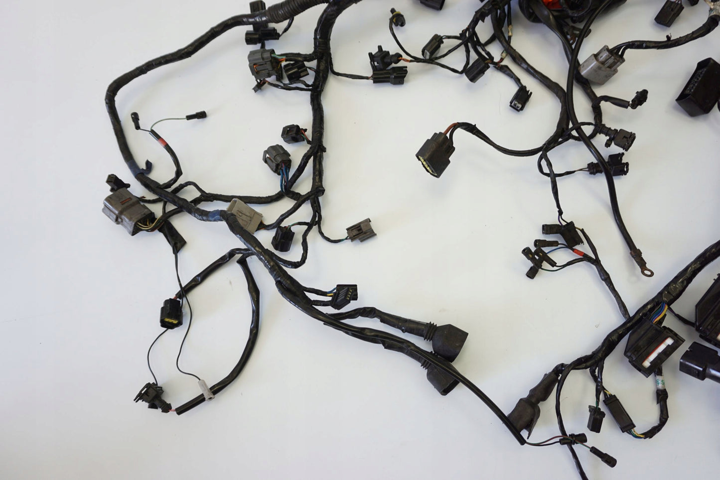 TRIUMPH TIGER SPORT 1050 16- Kabelbaum Wiring Harness 6