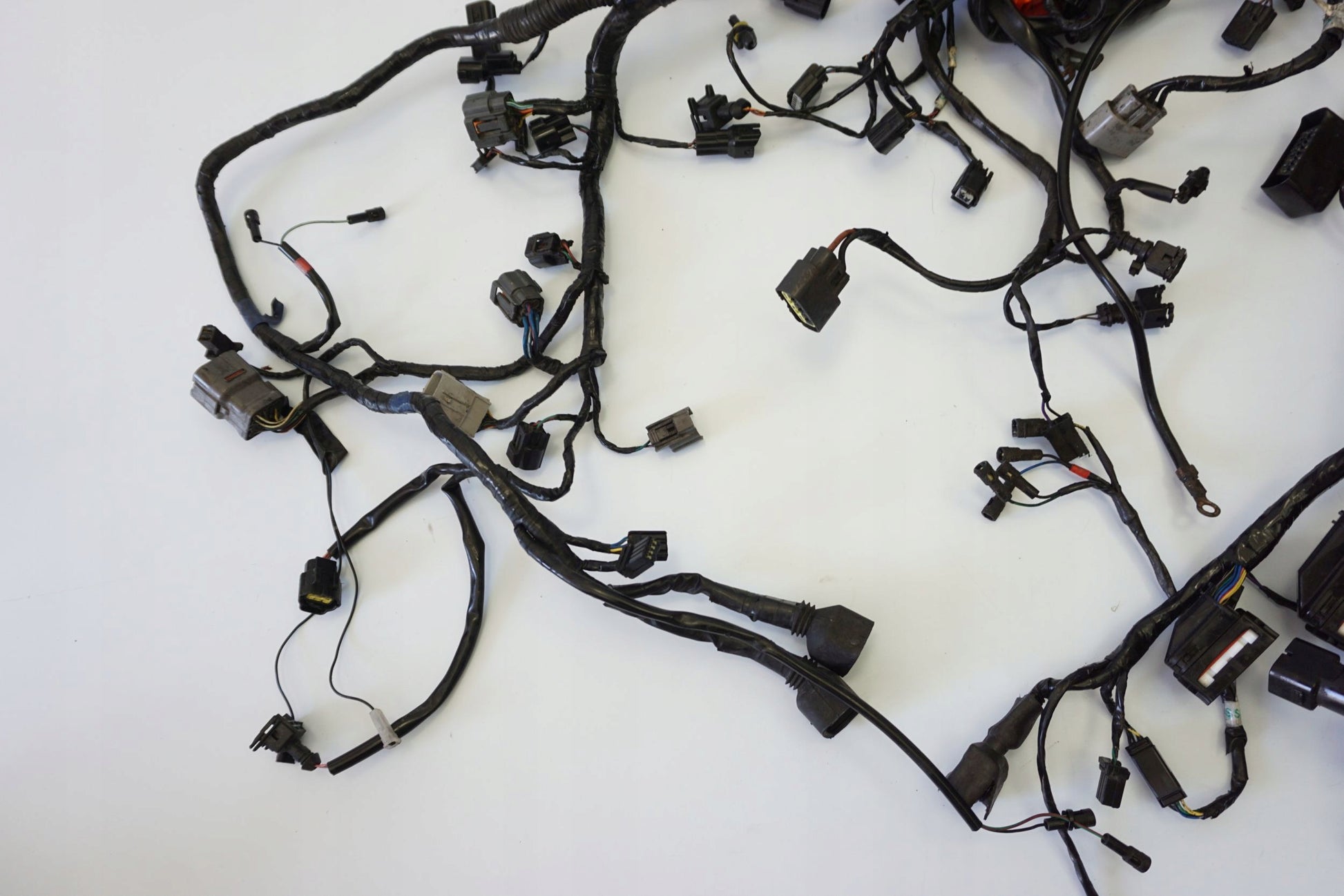 TRIUMPH TIGER SPORT 1050 16- Kabelbaum Wiring Harness 6