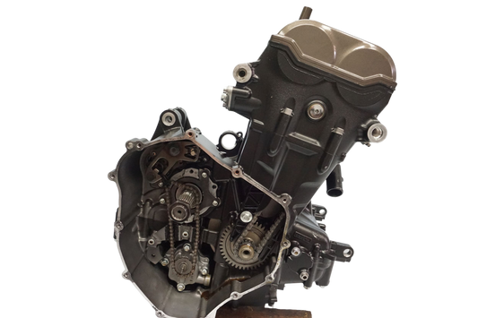 YAMAHA XTZ TENERE 700 Motor Motorblock Engine 1