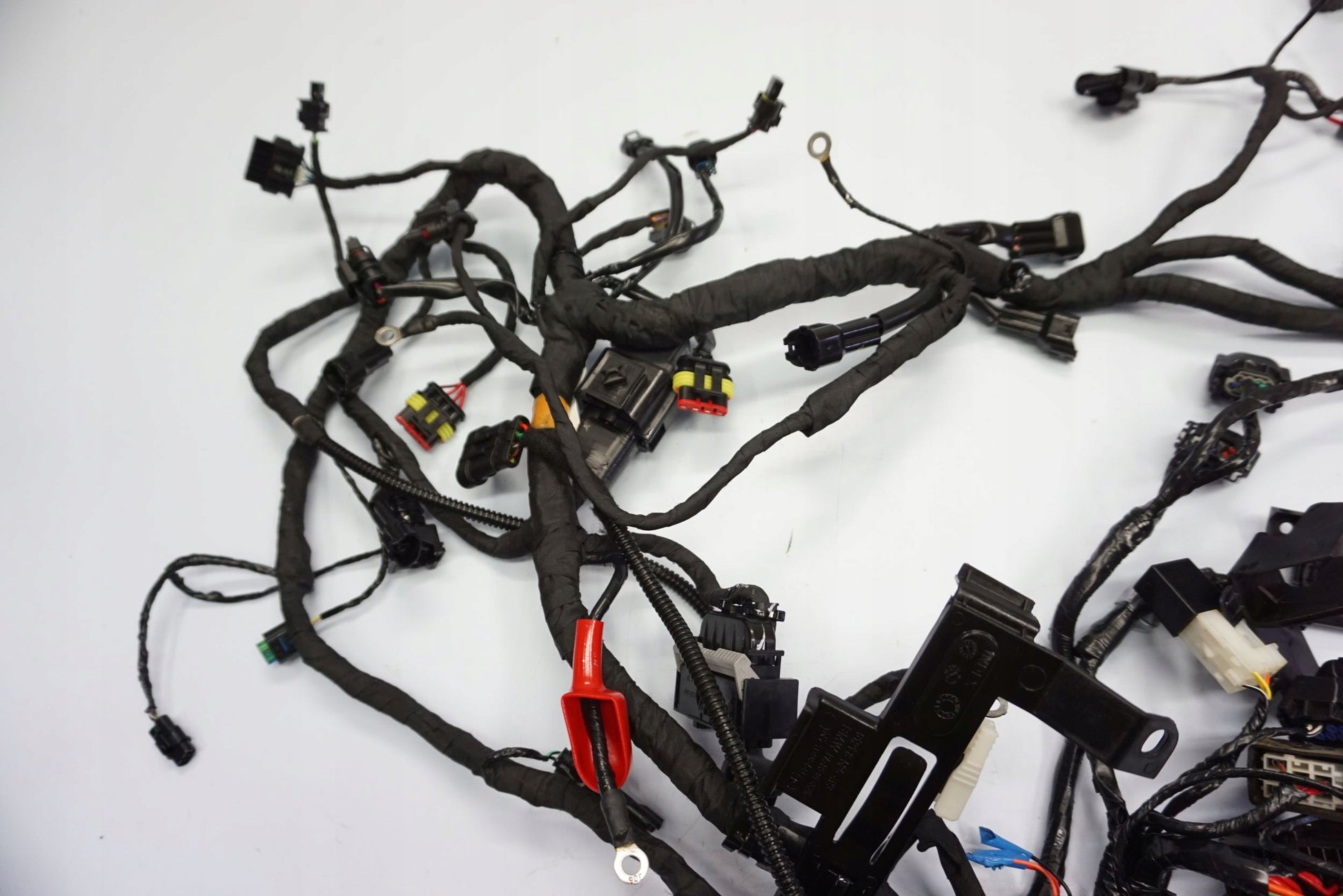 BMW G 310 GS 17- Kabelbaum Wiring Harness 8