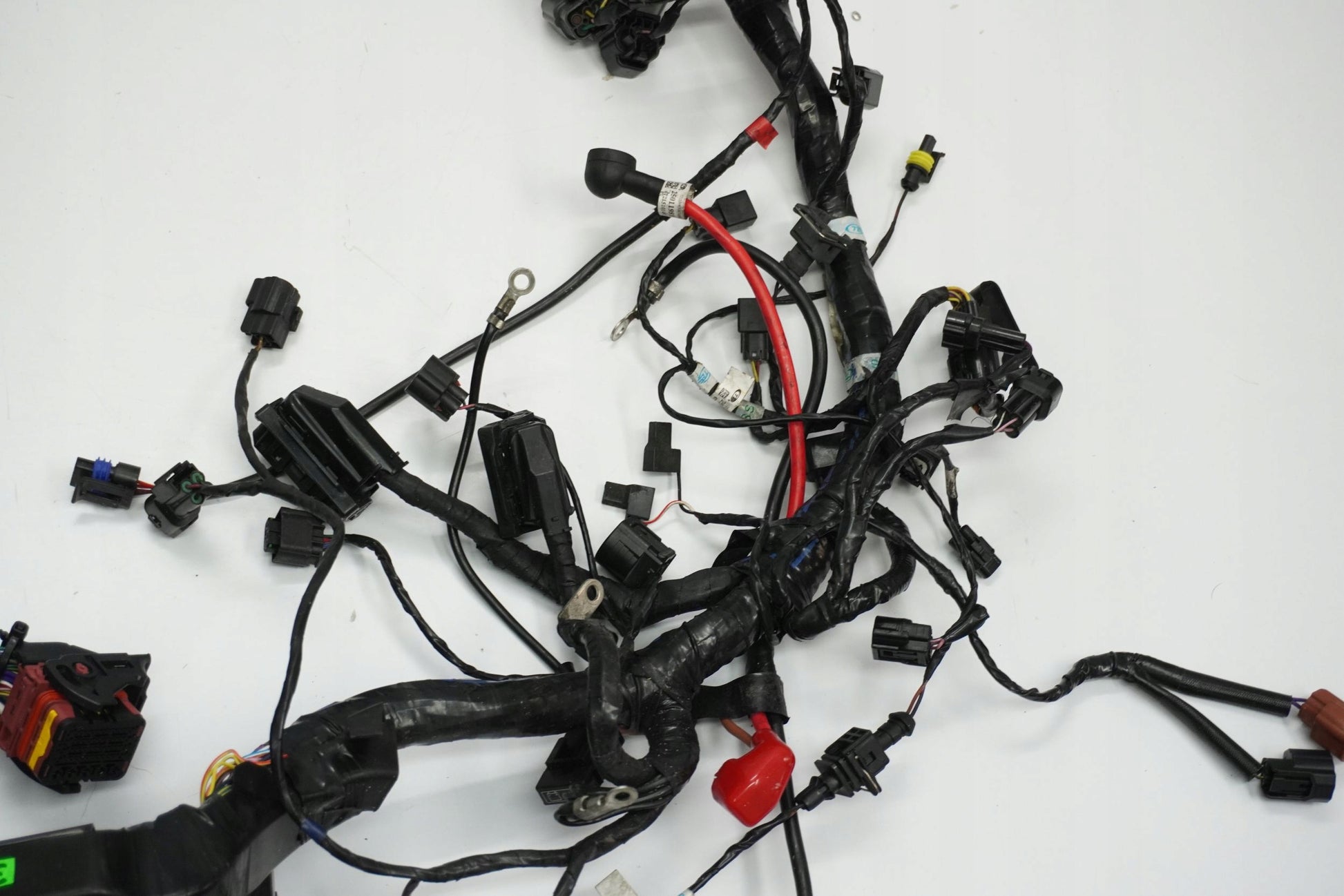 TRIUMPH TIGER 1200 XRT 16-17 Kabelbaum Wiring Harness 9