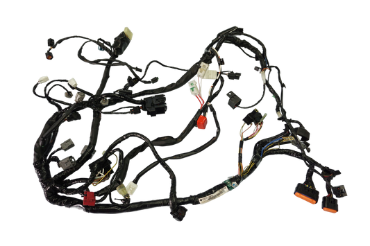 KAWASAKI ER-6N 650 05-08 Kabelbaum Wiring Harness 1
