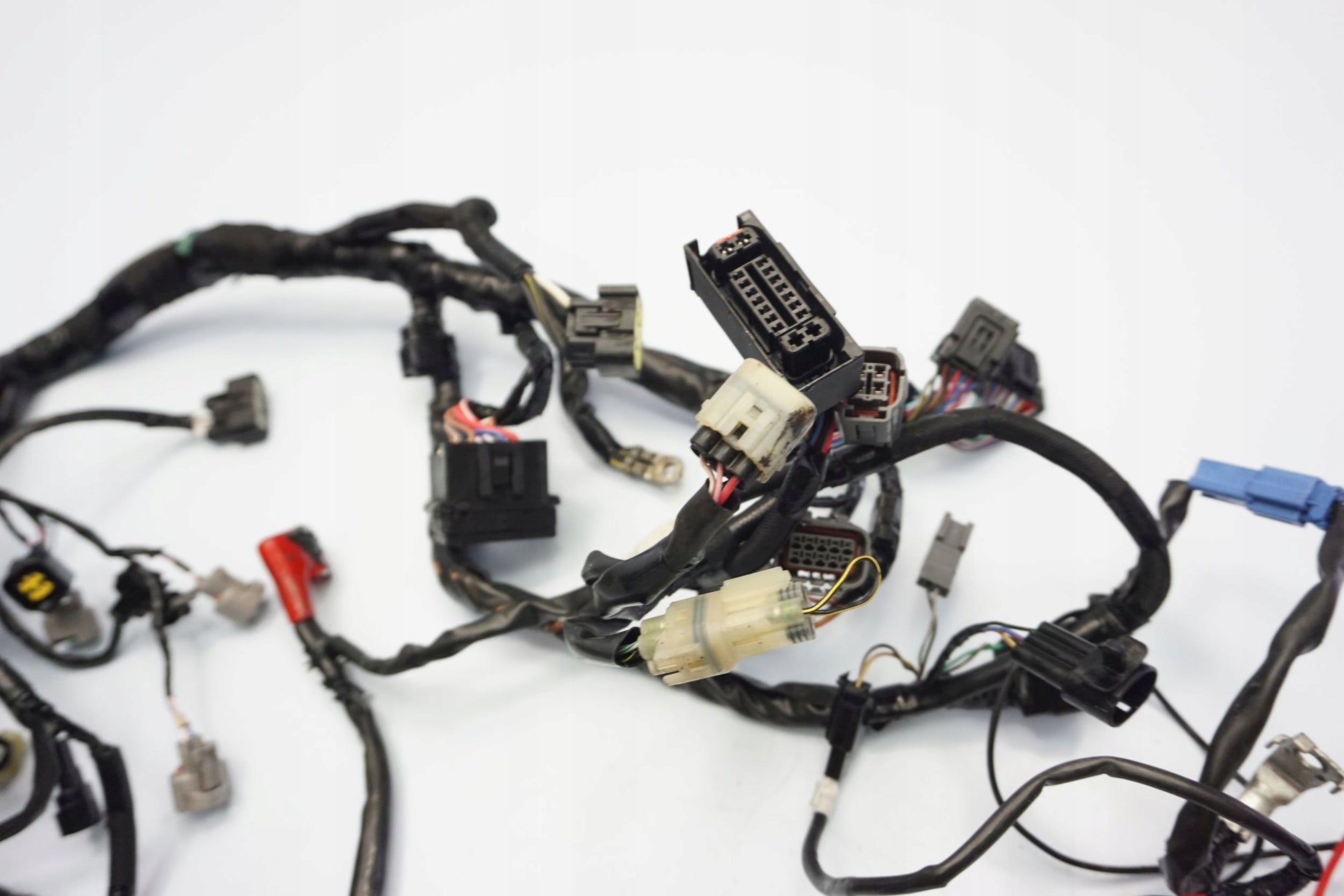 KAWASAKI Z-800 13-17 Kabelbaum Wiring Harness 10