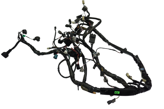 KAWASAKI Z1000 10-13 Kabelbaum Wiring Harness 1