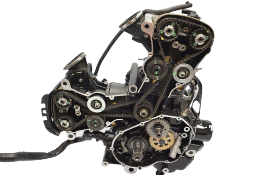 DUCATI MONSTER 821 18-20 Motor Motorblock Engine ZDM821W4O 1