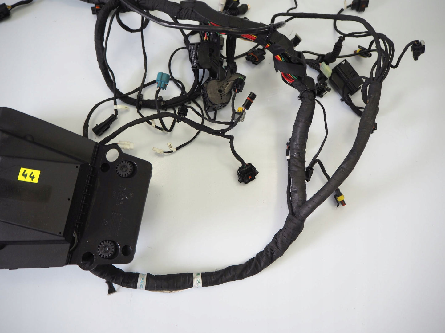 DUCATI MONSTER 937 21- Kabelbaum Wiring Harness 5