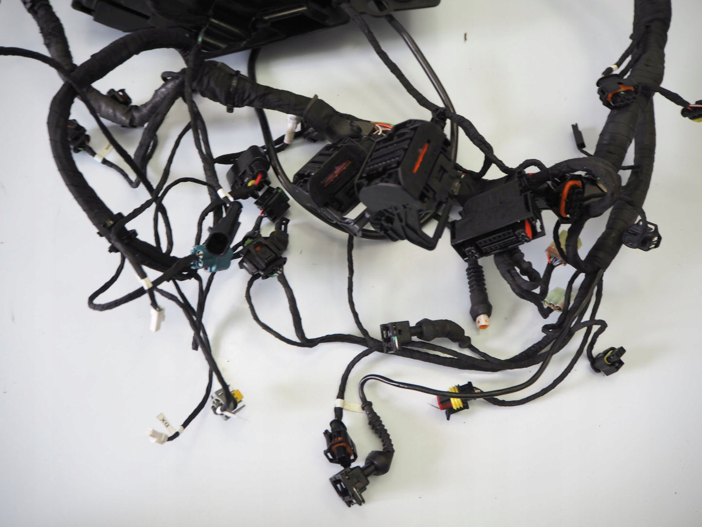 DUCATI MONSTER 937 21- Kabelbaum Wiring Harness 6