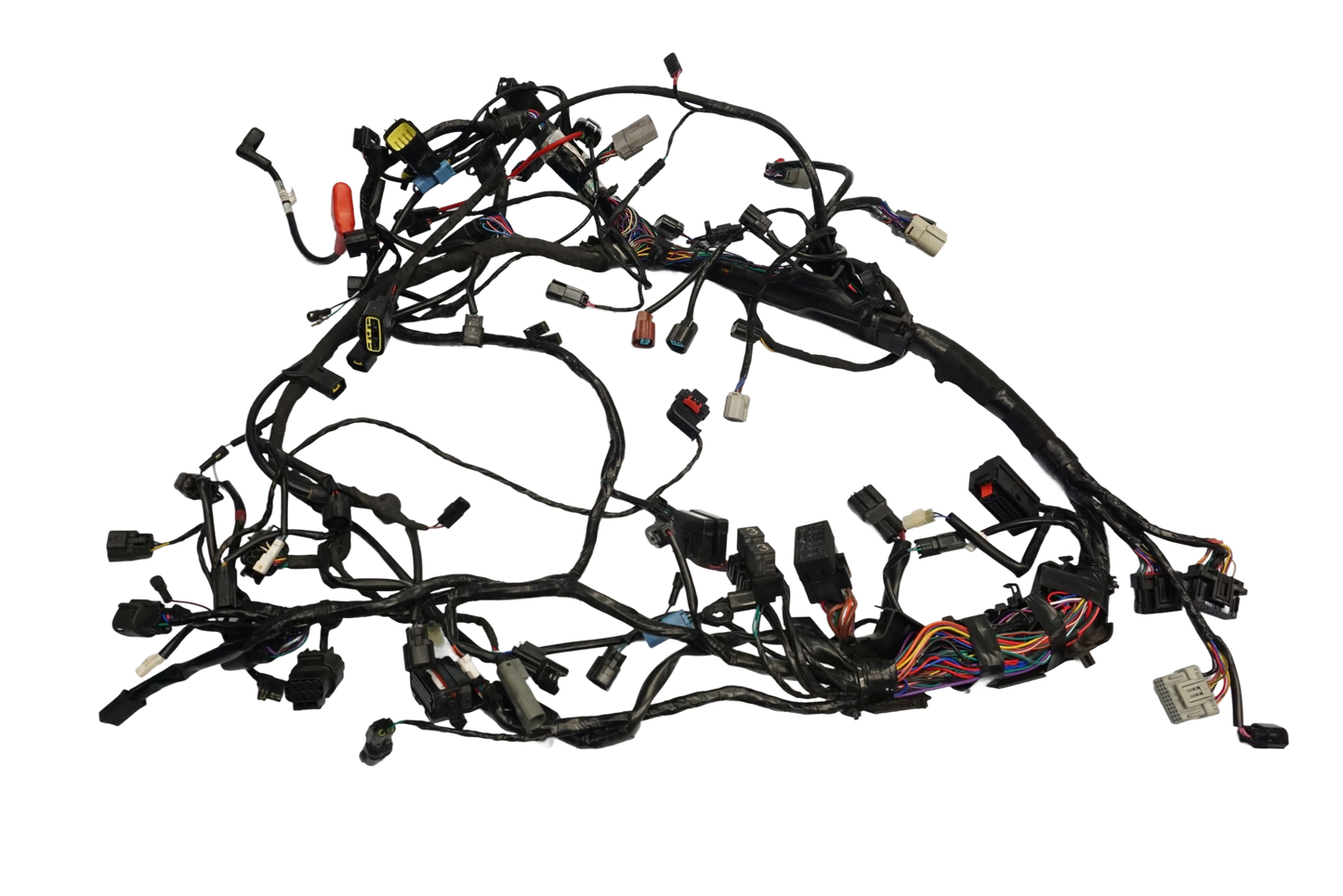 TRIUMPH TIGER 1200 RALLY EXPLORER 22- Kabelbaum Wiring Harness 1