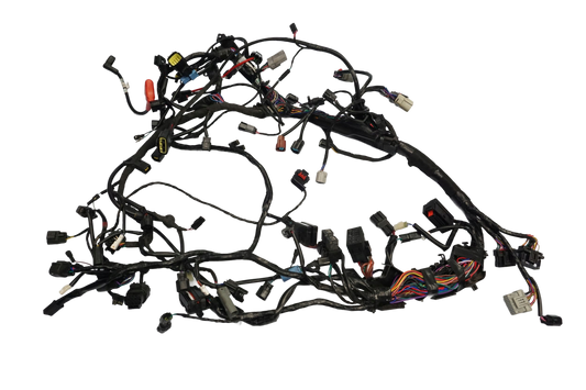 TRIUMPH TIGER 1200 RALLY EXPLORER 22- Kabelbaum Wiring Harness 1