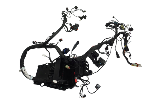 DUCATI MONSTER 937 21- Kabelbaum Wiring Harness 1