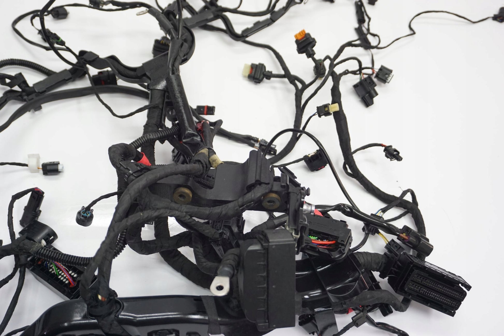 BMW R 1250 R 18- Kabelbaum Wiring Harness 10