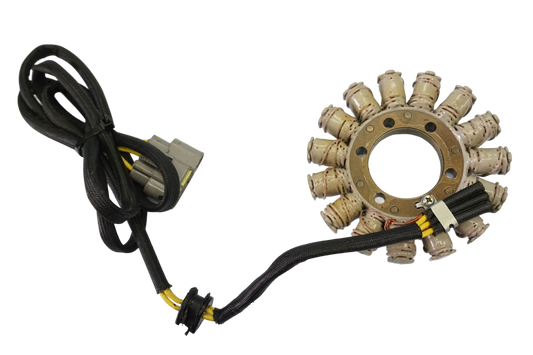 DUCATI MULTISTRADA 950 19- Lichtmaschine Stator Generator Lima Alternator 1
