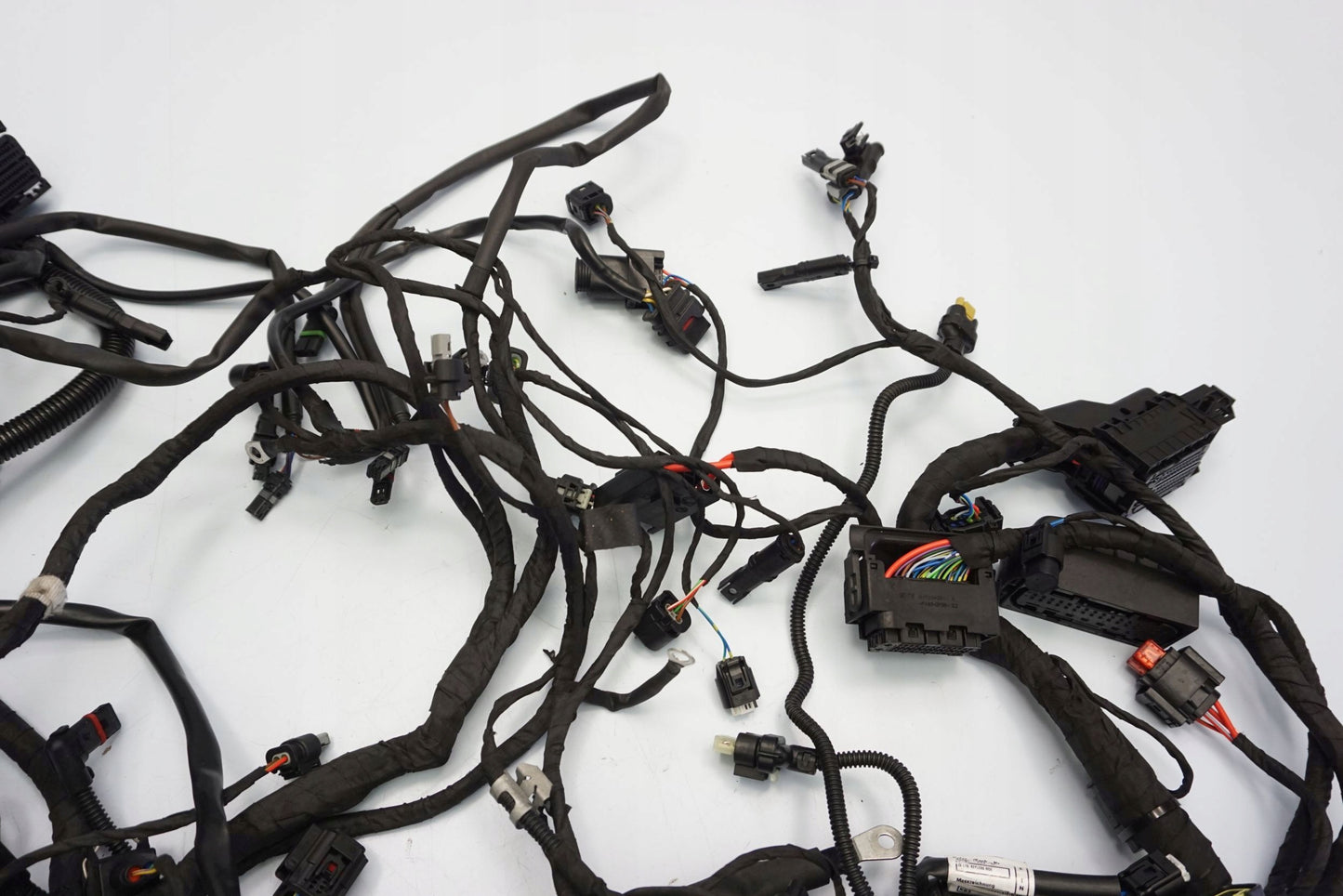 BMW F 900 R 20- Kabelbaum Wiring Harness 3