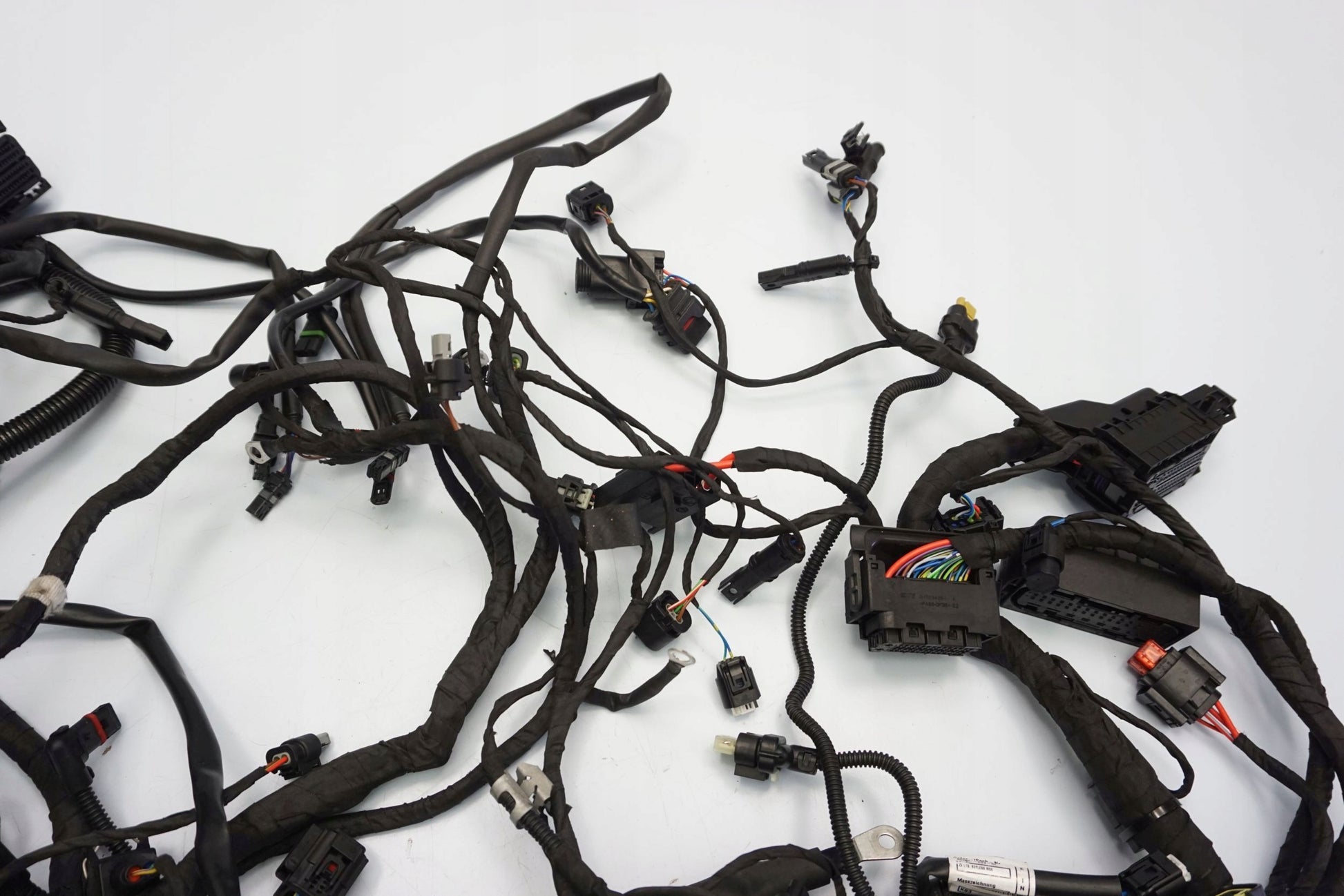 BMW F 900 R 20- Kabelbaum Wiring Harness 3