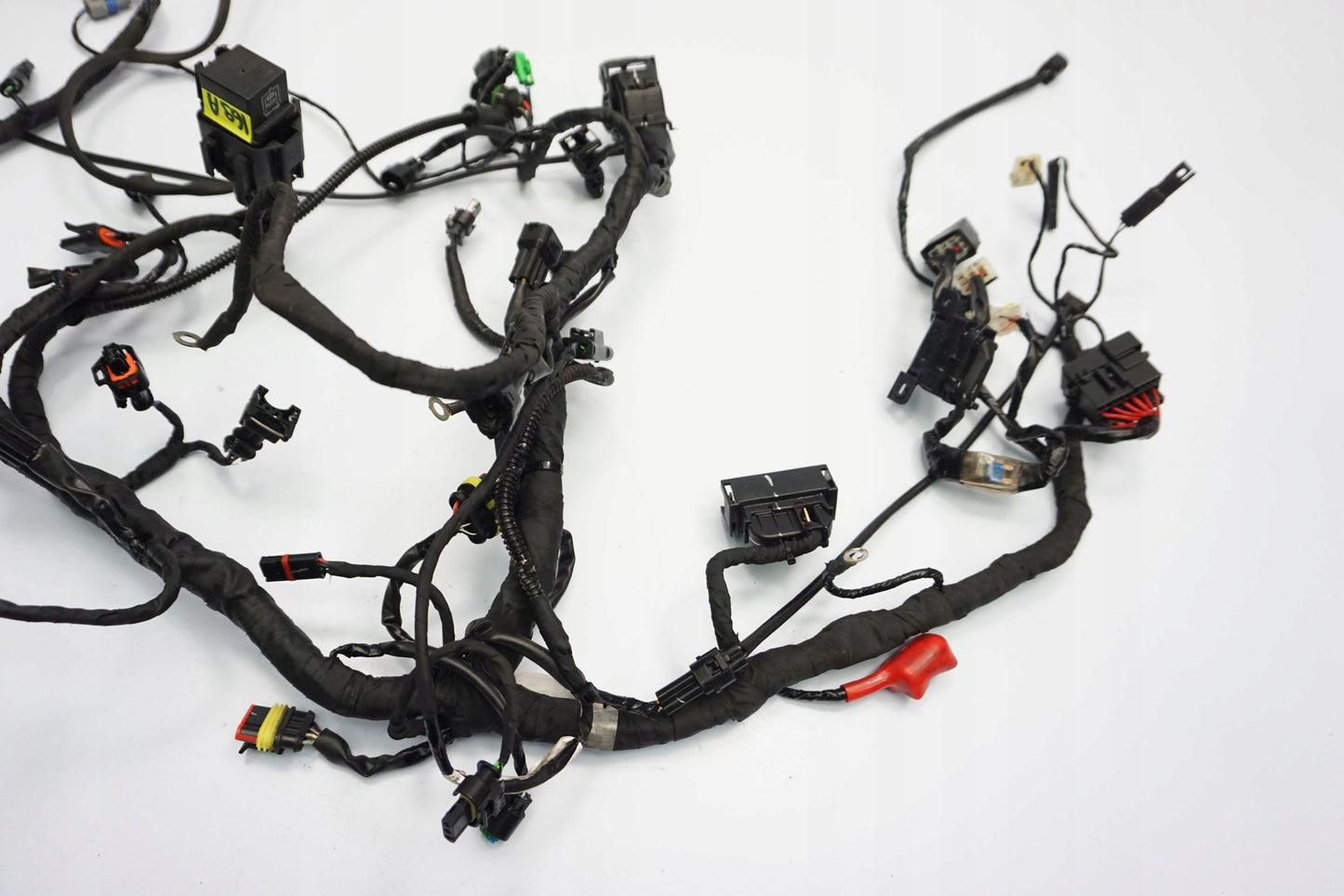 BMW G 310 GS 17- Kabelbaum Wiring Harness 7