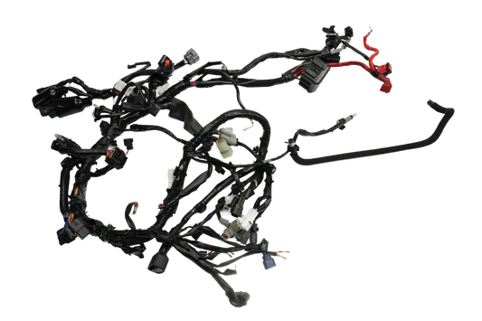 YAMAHA MT-09 SP 21-23 Kabelbaum Wiring Harness 1