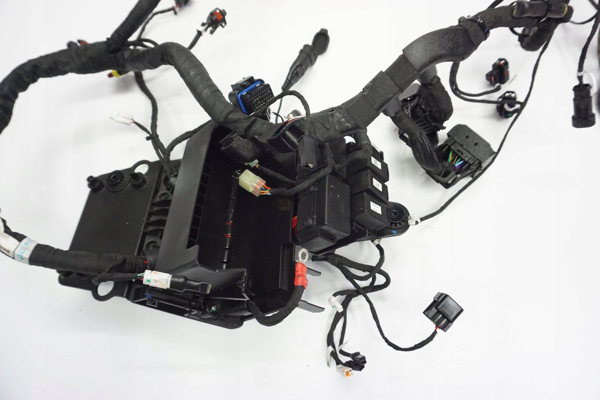 DUCATI MONSTER 937 21- Kabelbaum Wiring Harness 11