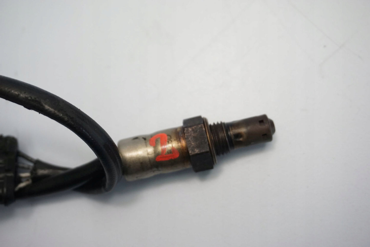 APRILIA TUONO V4 1100 FACTORY 19- Lambdasonde O2 Sensor Sonde Sonda Lambda